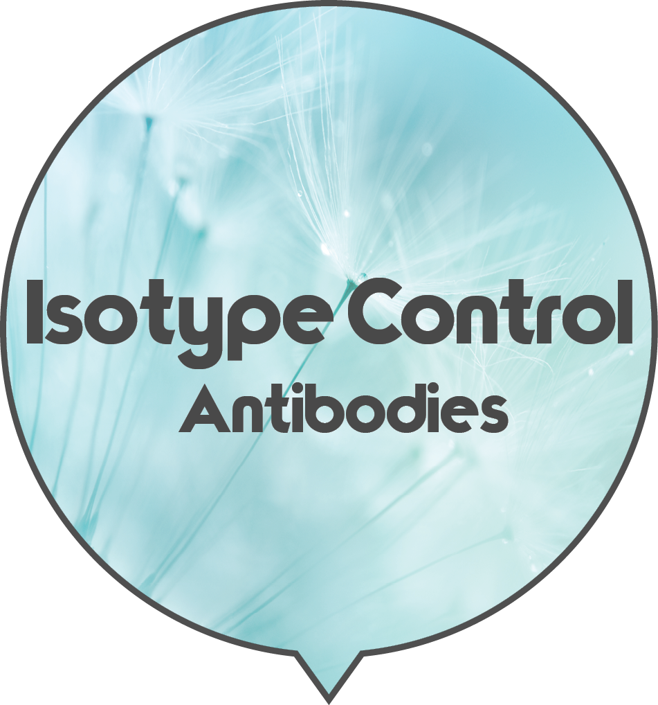 Isotype Control